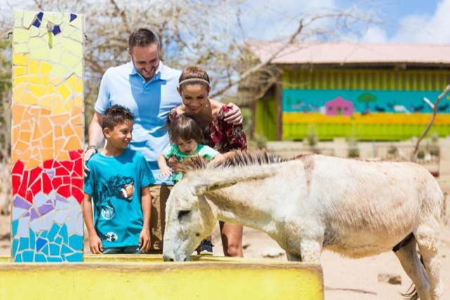 Children feeding a donkey at the sanctuary