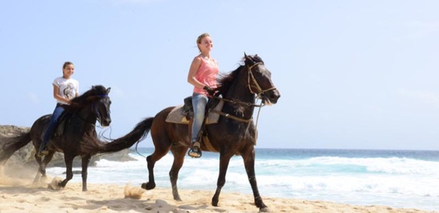 A rider on horseback at the edge of the sea