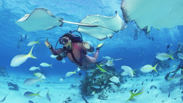 A diver swimming among fish over a reef